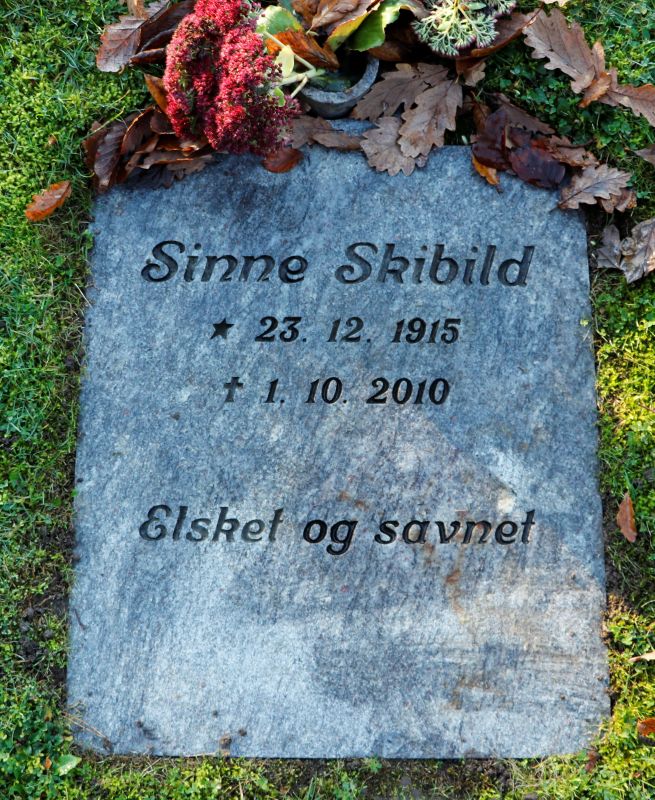 Sinne Skibild.JPG
